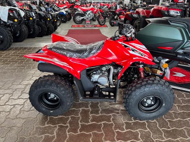 Photo would be good soon .. 